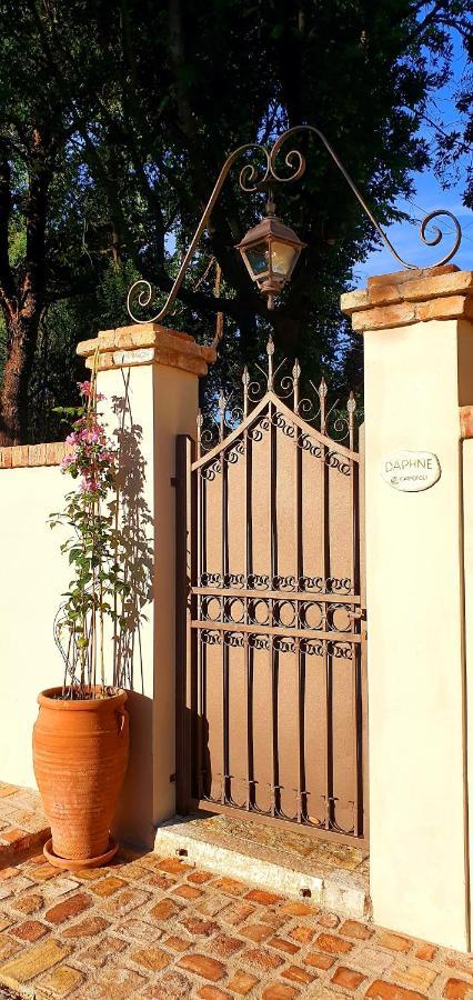 Carpofoli Corfu Apartamento Corfu  Exterior foto